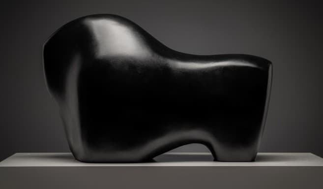 Embryo