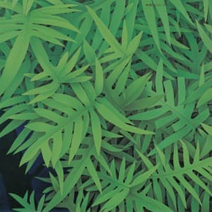 Green Fern