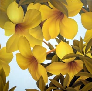 Large Yellow Flowers