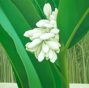 White flowers